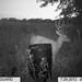 Hanke's Hunts Kansas Game Camera Photo