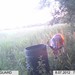 Hanke's Hunts Kansas Game Camera Photo