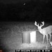 Hanke's Hunts Kansas Game Camera Photo