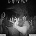 Hanke's Hunts Kansas Game Camera Photo