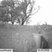 Hanke's Hunts Kansas Game Camera Photo