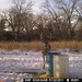 Hanke's Hunts Kansas Game Camera Photo