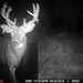 Hanke's Hunts Kansas Game Camera Photo