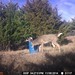 Hanke's Hunts Kansas Game Camera Photo
