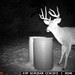 Hanke's Hunts Kansas Game Camera Photo