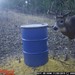 Hanke's Hunts Kansas Game Camera Photo