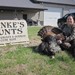 Hanke's Hunts Client Success 2016