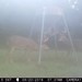 Hanke's Hunts Kansas Game Camera Photo