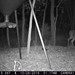 Hanke's Hunts Kansas Game Camera Photo