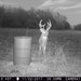 Hanke's Hunts Kansas Game Camera Photo