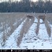 Hanke's Hunts Kansas Game Camera Photo