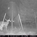 Hanke's Hunts Kansas Game Camera Photo