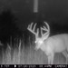 Hanke's Hunts Kansas Game Camera Photo