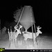 Hanke's Hunts Kansas Game Camera Photo